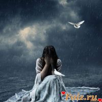 id279598, 41 из г. Москва