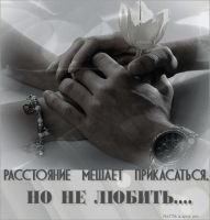 id281064, 20 из г. Москва