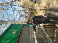 id288354, 51 из г. Москва