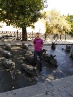 id289910, 38 из г. Москва