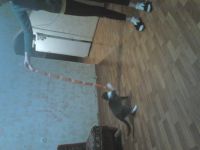 id290938, 30 из г. Москва