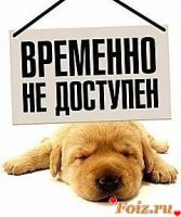 id291151, 34 из г. Днепр