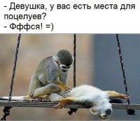 max500, 50 из г. Киев