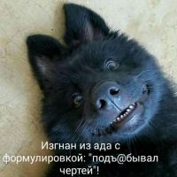Lemon4ik, 19 из г. Киев