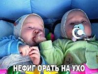 id296523, 35 из г. Белая Церковь