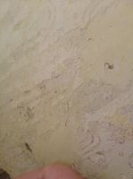 id301639, 52 из г. Киев