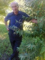 id301874, 59 из г. Москва