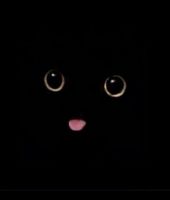 Беорн-id302803, 32 из г. Харьков