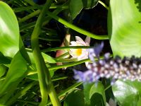 id304630, 41 из г. Харьков