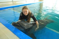 id305606, 39 из г. Москва