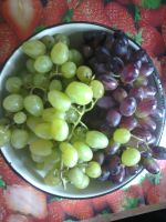 Виноградинка, 33 из г. Харьков