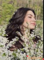 id306809, 26 из г. Бейрут