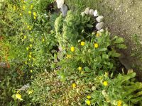 id308975, 57 из г. Москва