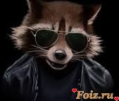 id309393, 29 из г. Ярославль