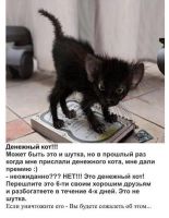 id310539, 31 из г. Донецк 