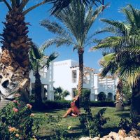 id310608, 30 из г. Москва