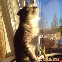 id312489, 19 из г. Донецк 