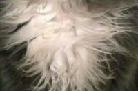 -kerolijan-, 29 из г. Киев