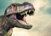 T-REX, 37 из г. Гавана