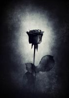 id321167, 25 из г. Белогорск 