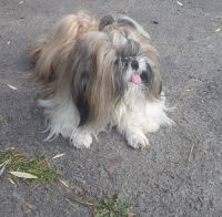 id327733, 45 из г. Харьков