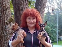 id328642, 61 из г. Москва