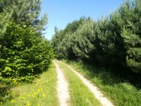 id329518, 38 из г. Киев