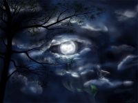 id331234, 20 из г. Киев