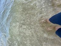 Москва2021, 32 из г. Москва