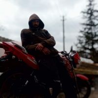 id334356, 33 из г. Днепр