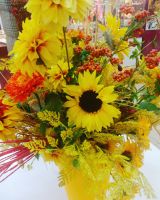 _Nata_, 51 из г. Москва