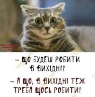 УКРАИНКА_Я, 33 из г. Киев