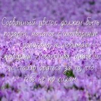 Anasteisha_069, 24 из г. Владимир