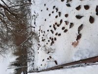 _Друг_, 57 из г. Троицк 