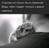 Silent, 74 из г. Киев