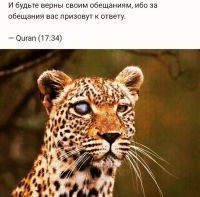 Отчаянный_95, 25 из г. Москва