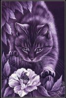 Юна, 51 из г. Киев