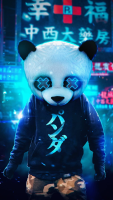 Panda30, 33 из г. Пекин