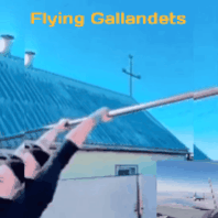 Flying_Gallandets_, 37 из г. Амстердам