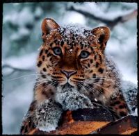 mr_beloved, 49 из г. Киев