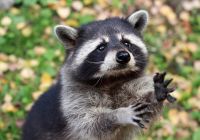 Near_you-id351316, 31 из г. Москва