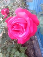 фото