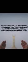 id353537, 35 из г. Москва