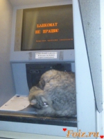 MadMax, 41 из г. Донецк 