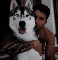 id355477, 43 из г. Киев