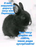 Руличка, 43 из г. Кременчуг