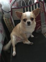 Nataliya99, 74 из г. Киев