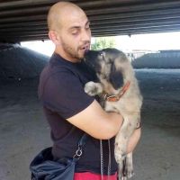 Grimnir, 37 из г. Киев