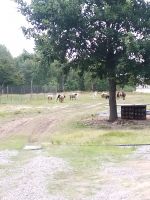 id381847, 40 из г. Киев