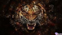 _Big_Cat_, 41 из г. Киев